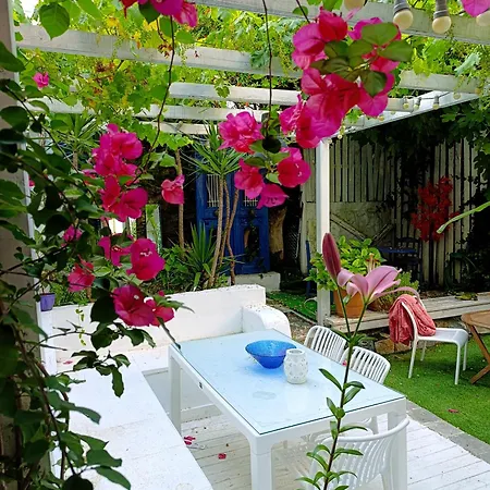 Hermes Trykonos Garden Thessaloniki - Central Oasis With Free Parking * Thessaloníki
