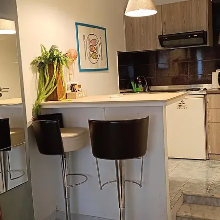 Trykonos - Garden - Easy Parking & Walk To Center - Close To Helexpo & Διαμέρισμα Θεσσαλονίκη